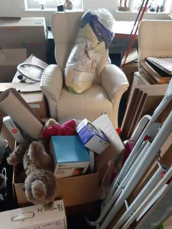 Wohnzimmer mit Umzugskartons, Sessel, Kartons, Haushaltsgegenständen und Kuscheltier.